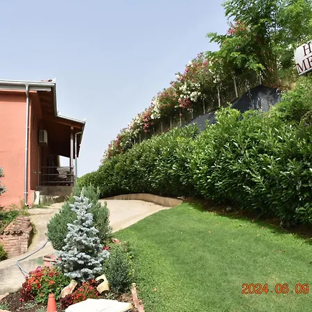 Meteora Hotel