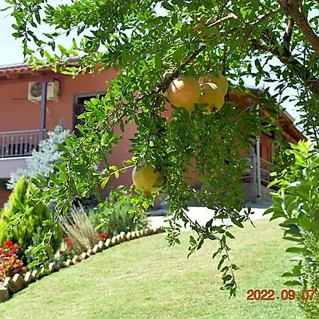 Hotel Meteora Kalambaka